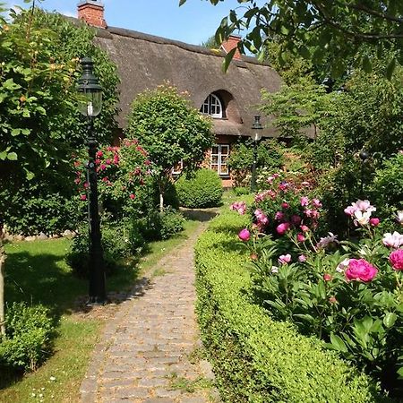 Das Reetdachhaus - Paulines Hoeft Grömitz Extérieur photo