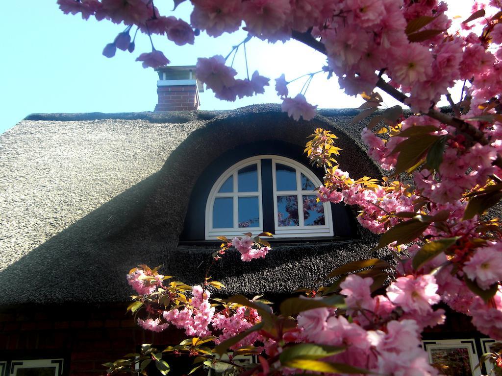 Das Reetdachhaus - Paulines Hoeft Grömitz Extérieur photo